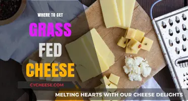 Grass-Fed Cheese: Where to Buy?