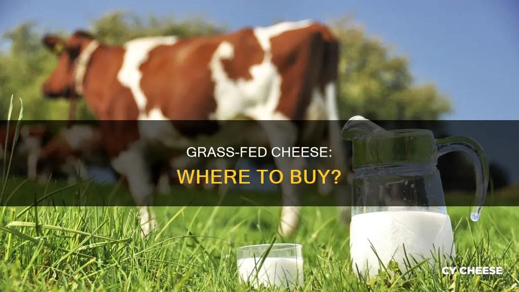 where to get grass fed cheese