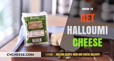 The Best Places to Buy Halloumi Cheese