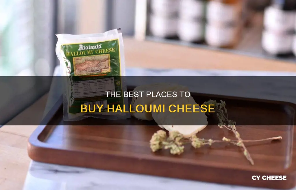 where to get halloumi cheese