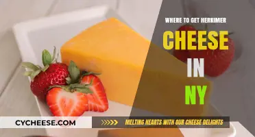 Get Herkimer Cheese in NY: Best Places to Visit