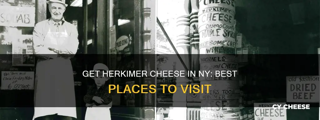where to get herkimer cheese in ny