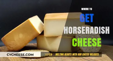 Finding Horseradish Cheese: The Best Sources