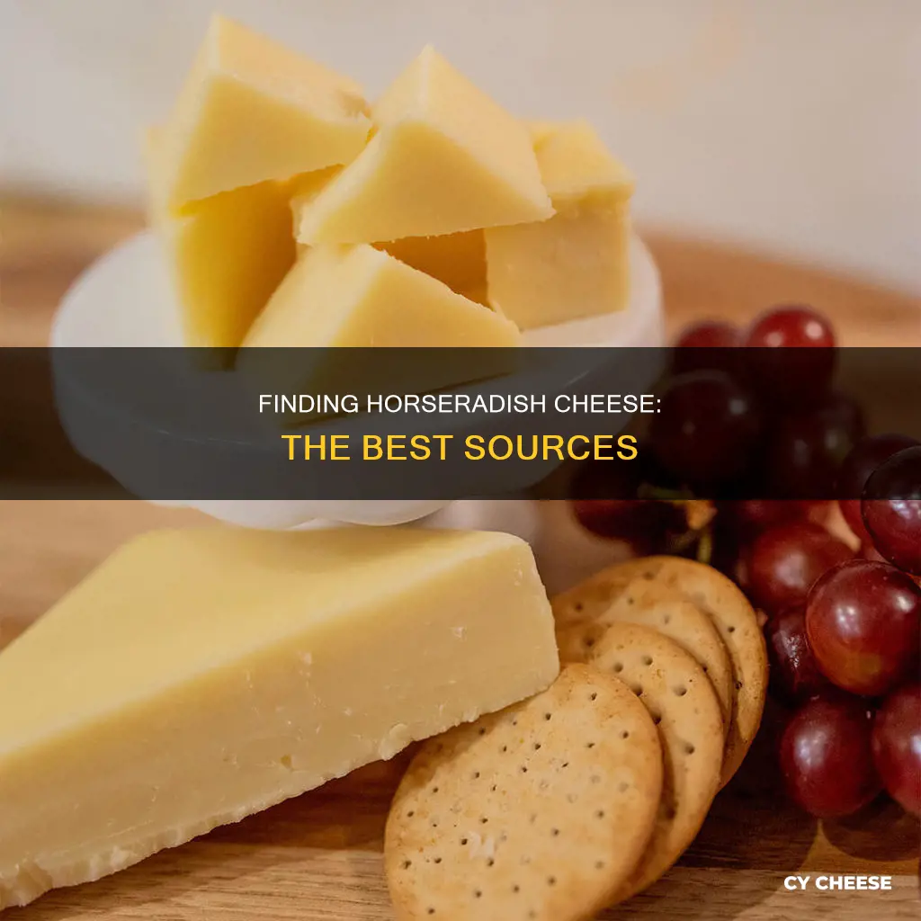 where to get horseradish cheese