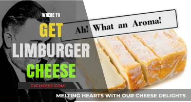 The Best Places to Buy Limburger Cheese