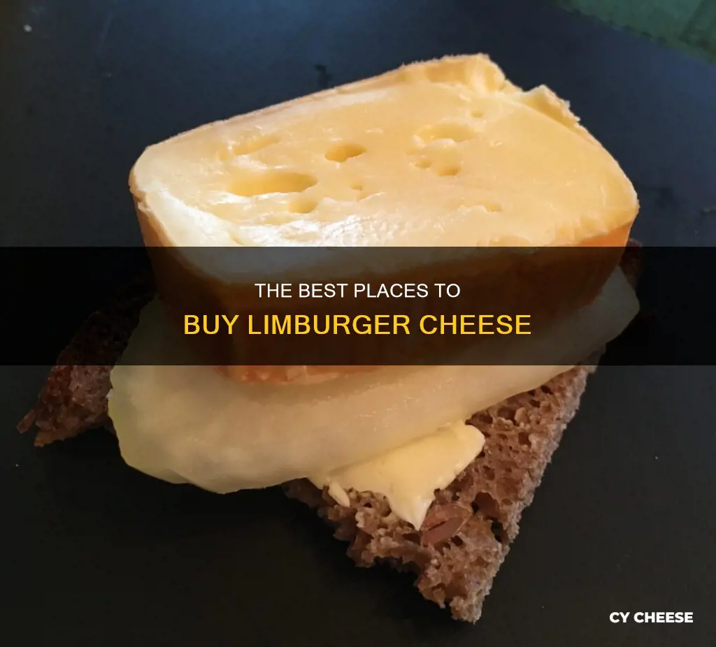 where to get limburger cheese
