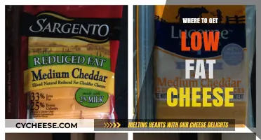 Healthy Cheese Options: Where to Buy Low-Fat Varieties