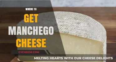 Finding Manchego: Best Places to Buy