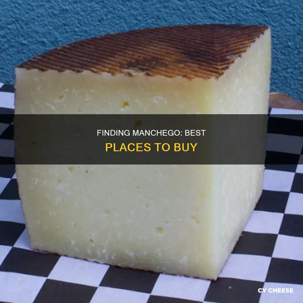 where to get manchego cheese