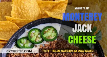 Best Places to Buy Monterey Jack Cheese