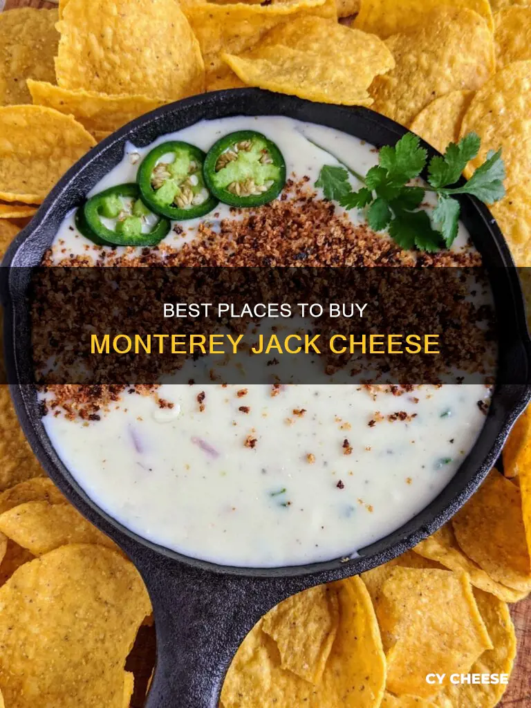 where to get monterey jack cheese