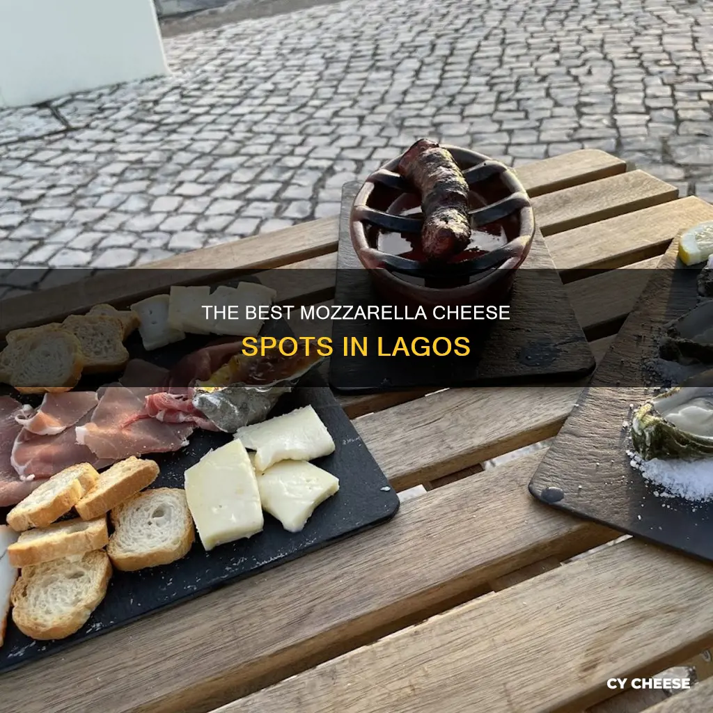 where to get mozzarella cheese in lagos