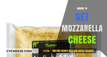 Mozzarella Cheese: Where to Find the Best Sources