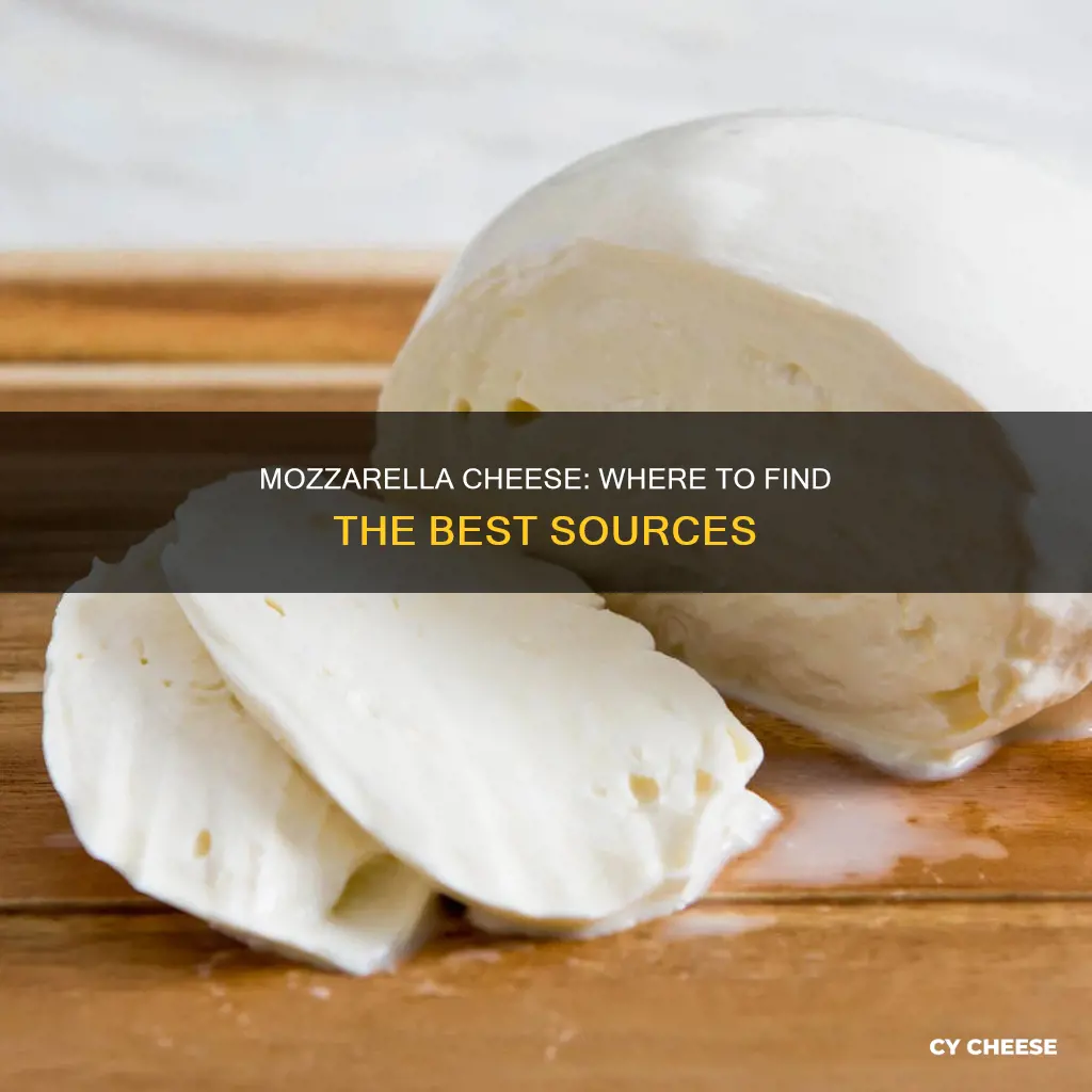 where to get mozzarella cheese