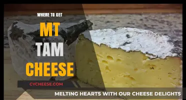 Get MT Tam Cheese at These Top Spots