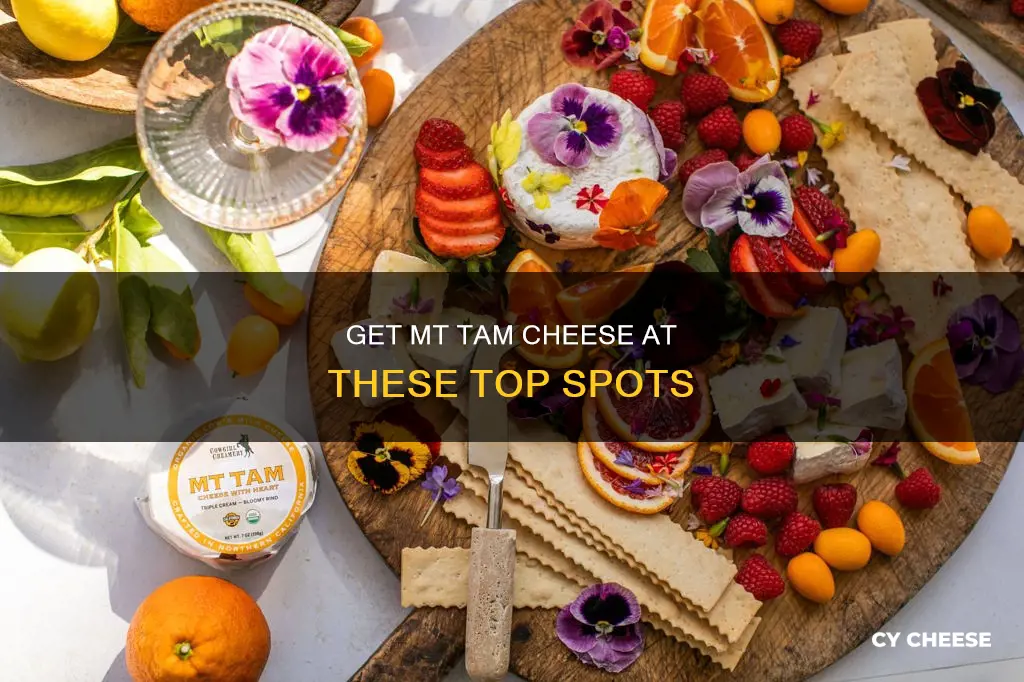where to get mt tam cheese