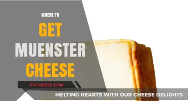 The Best Places to Get Muenster Cheese