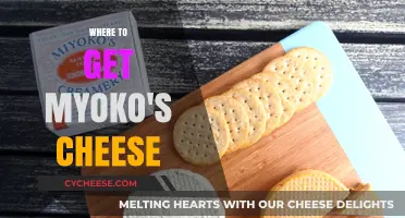 Myoko Cheese: Where to Find the Best Sources