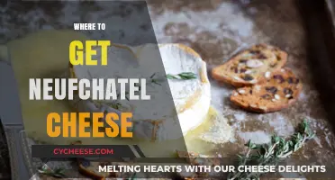 The Ultimate Guide to Finding Neufchâtel Cheese