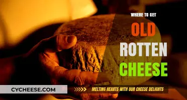 The Best Places to Find Aged Cheese