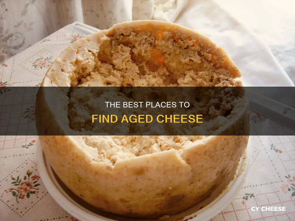 where to get old rotten cheese