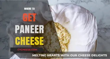 Paneer Cheese: Where to Buy and What to Know