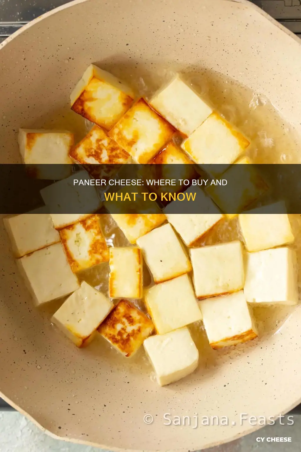 where to get paneer cheese