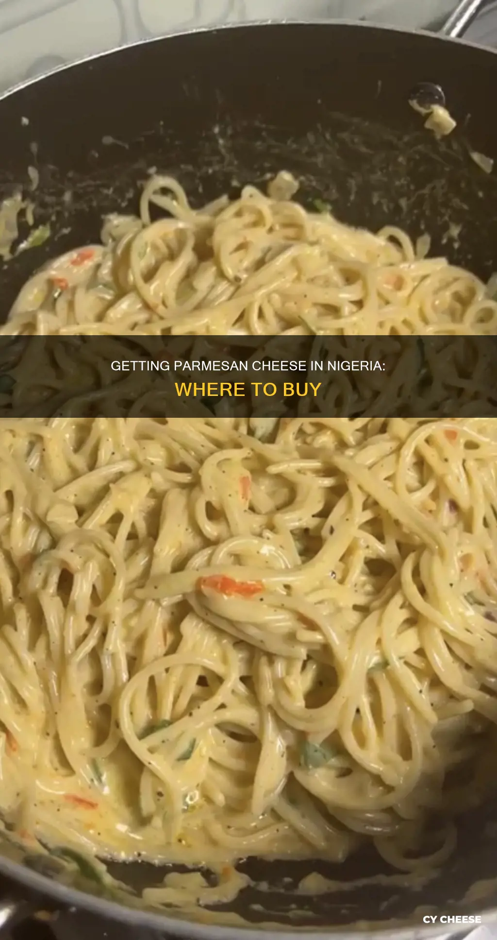 where to get parmesan cheese in nigeria