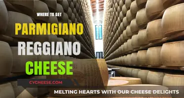 The Best Places to Buy Parmigiano Reggiano Cheese