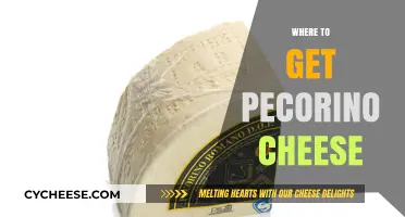 Finding Pecorino: Best Places to Buy