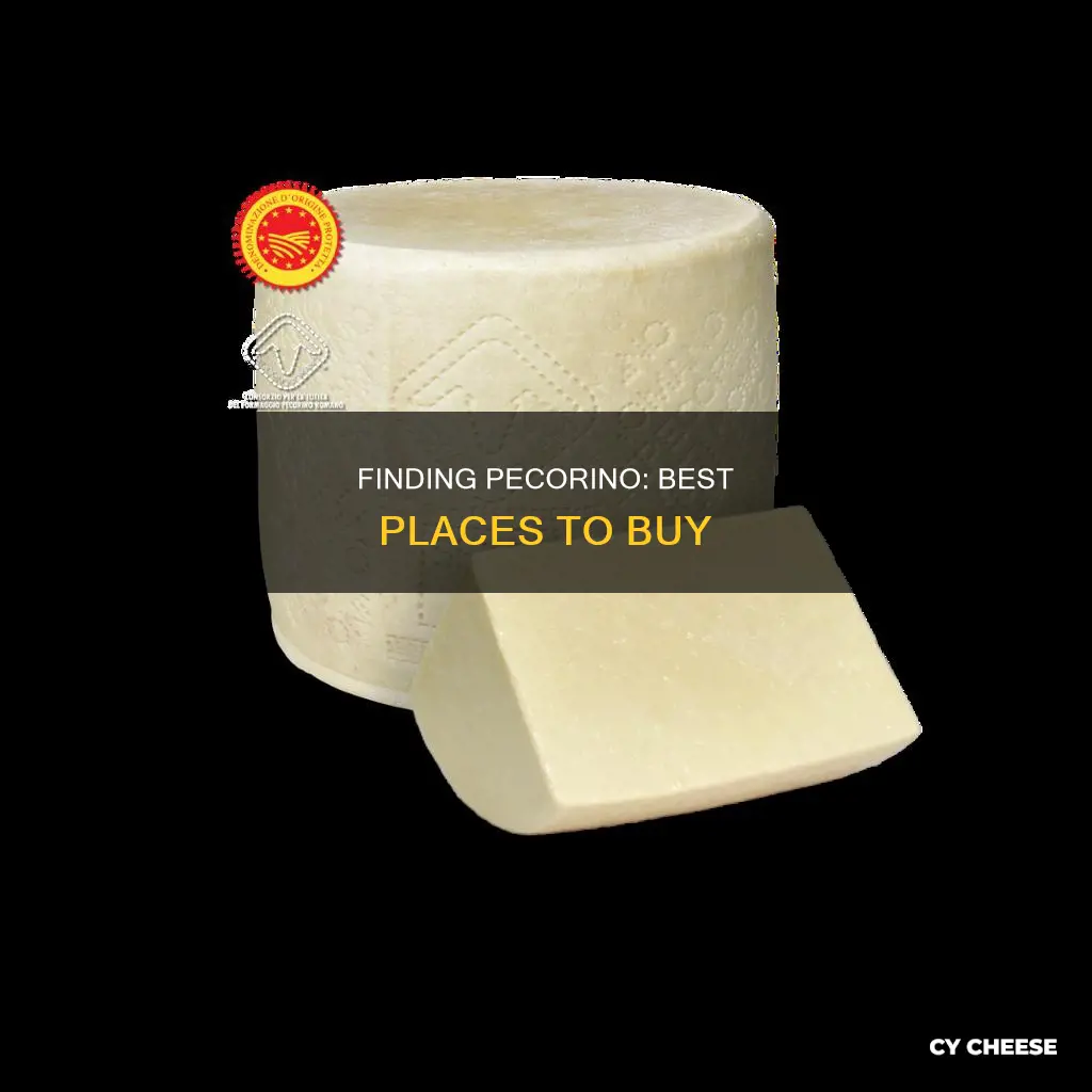 where to get pecorino cheese