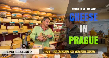Pickled Cheese in Prague: Where to Find This Delicacy