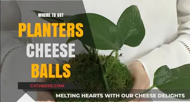 Get Cheesy: Find Planter's Cheese Balls