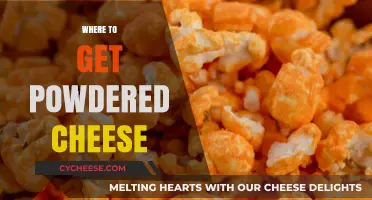 The Best Places to Buy Powdered Cheese