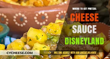 Disneyland's Pretzel Cheese Sauce: Where to Get It