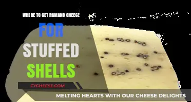 Best Places to Buy Romano Cheese for Stuffed Shells