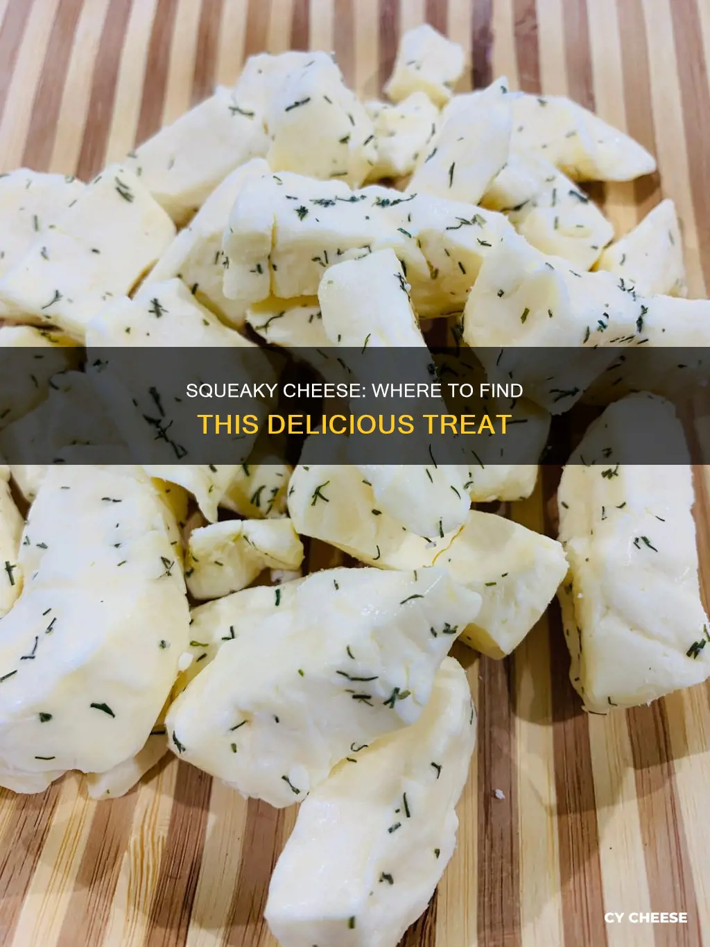 where to get squeaky cheese