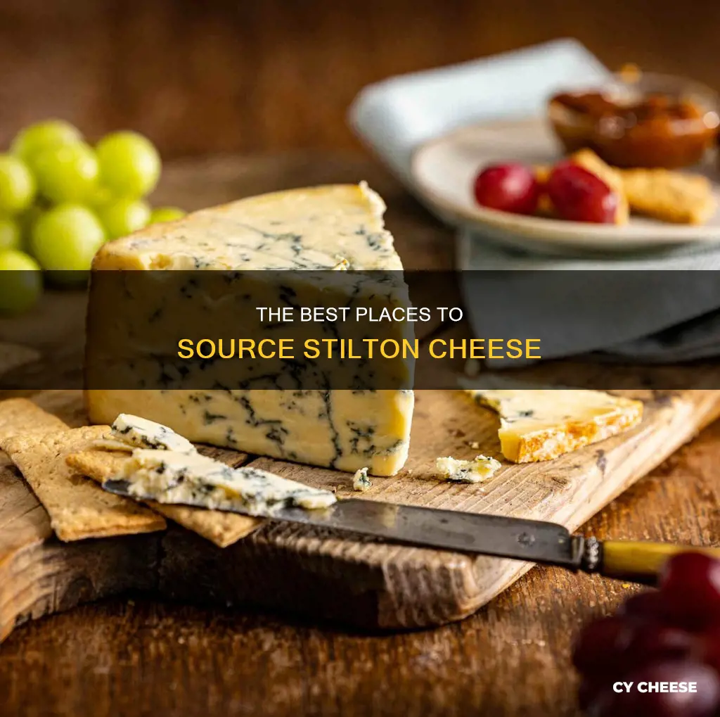 where to get stilton cheese