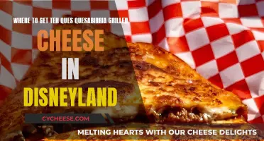 Quesabirria Grilled Cheese: A Magical Treat at Disneyland