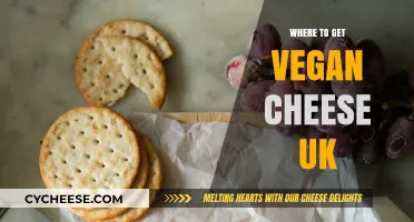 Vegan Cheese: Best UK Sources and Options