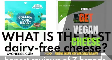 Vegan Cheese: Where to Find the Best Sources