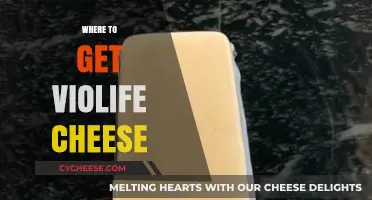 Violife Cheese: Stocking Up on the Goodness