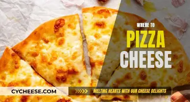 The Ultimate Guide to Finding Pizza Cheese