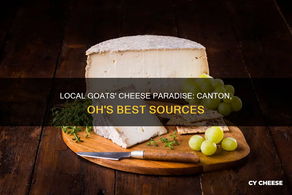 where to purchase goats cheese canton oh