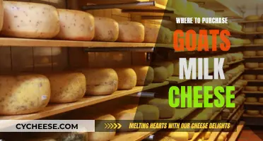 Goat's Milk Cheese: Top Sources for Authentic Delicacies