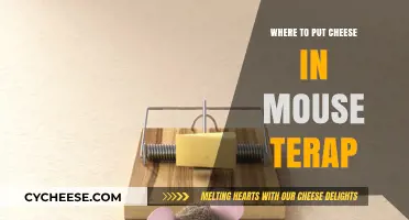 Cheese Placement: Strategies for Effective Mouse Trapping