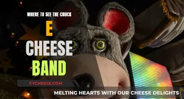 Chuck E. Cheese Band: Venues and Locations to Visit