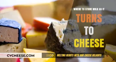 Transforming Milk to Cheese: Optimal Storage Tips for Perfect Results
