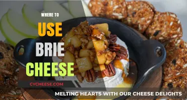 Explore Brie Cheese: Beyond the Cracker