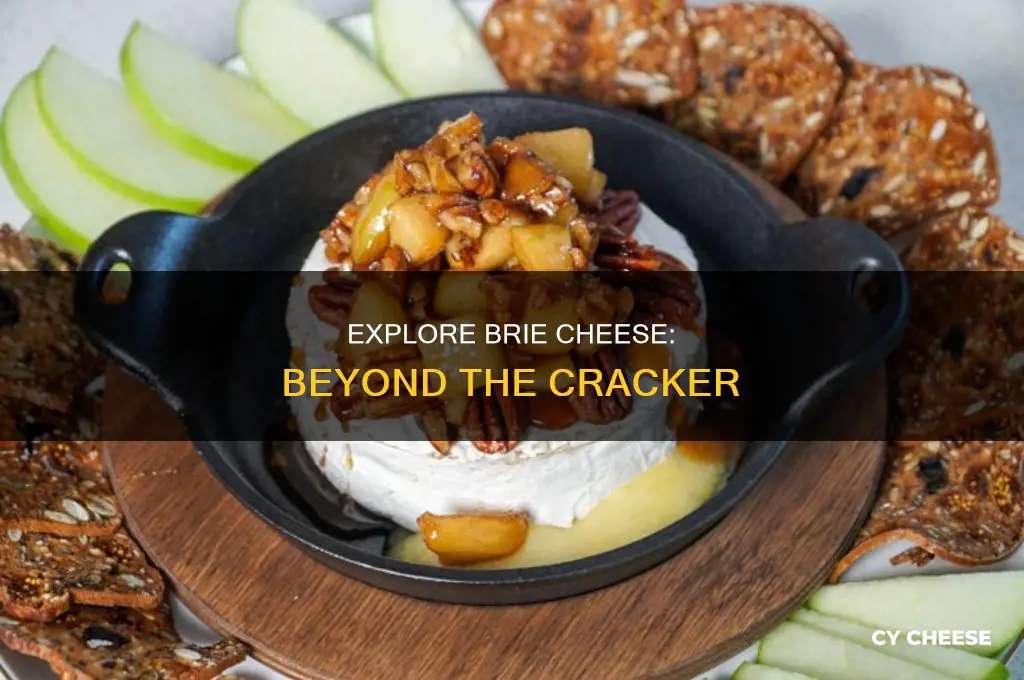 where to use brie cheese